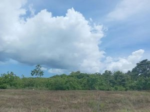Terreno Plano de 500 m² en Rodeo Viejo | A 10 Min de la Pana…