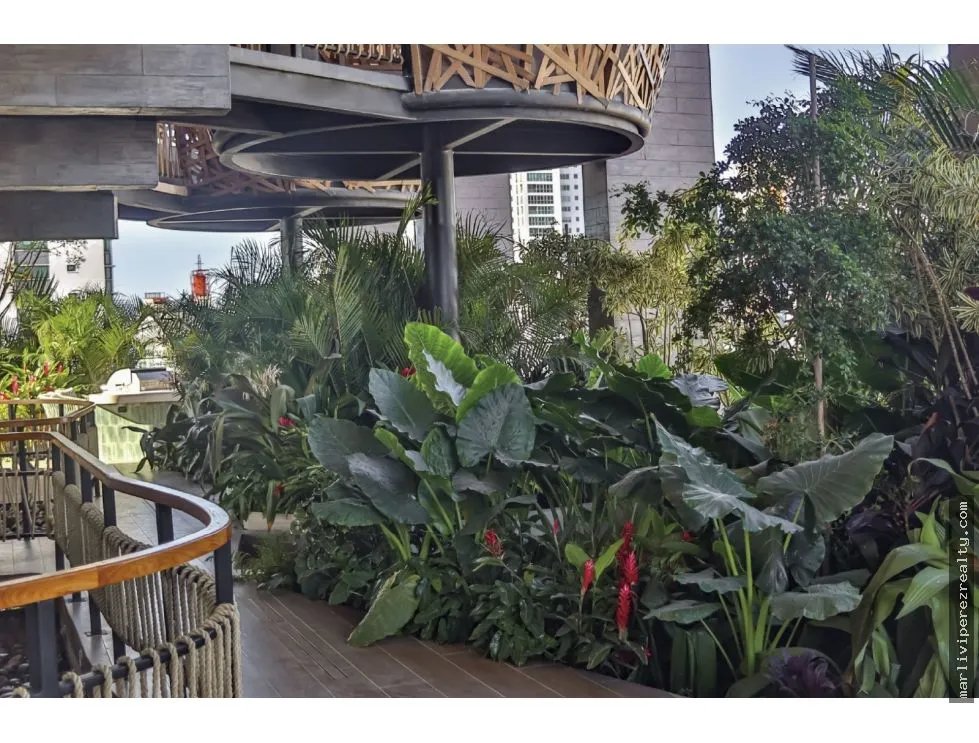 Furnished Apartment for Rent in Coco del Mar - Brand New
