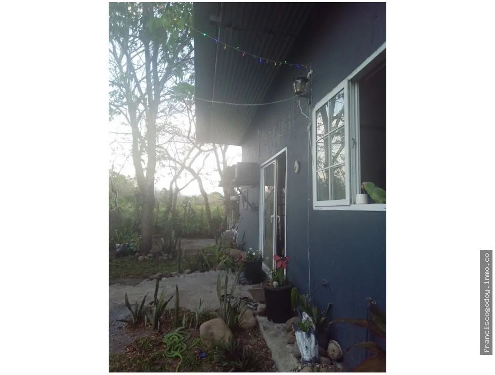 House for Sale in Dolega, Chiriqui