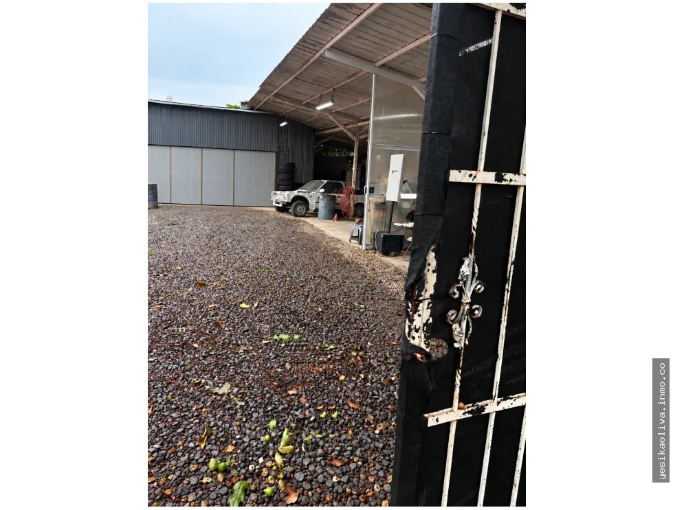 Sale of Land with Workshop Shed in El Ingenio Betania