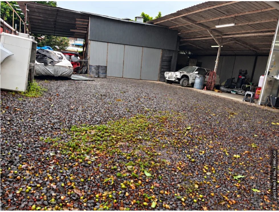 Sale of Land with Workshop Shed in El Ingenio Betania