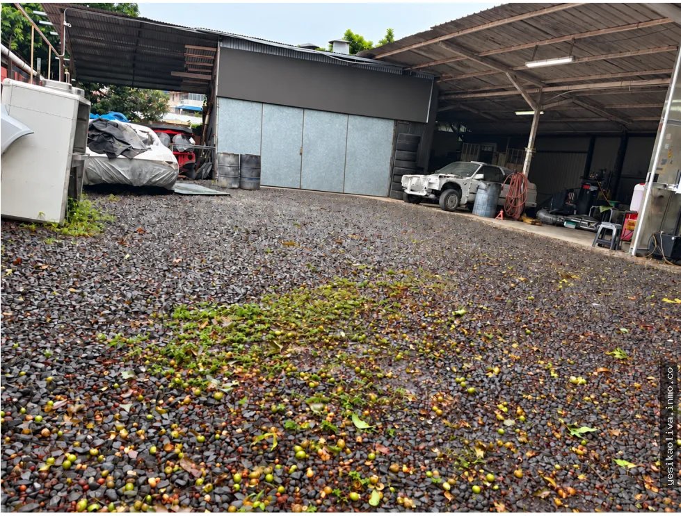 Sale of Land with Workshop Shed in El Ingenio Betania