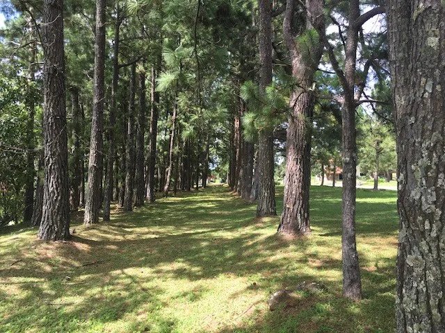 Lotes Exclusivos en Venta - Boquete Country Club, Chiriquí