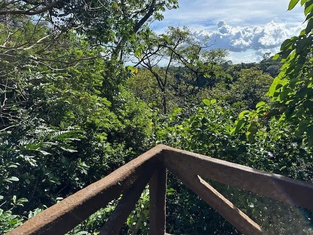 Lotes Exclusivos en Venta - Boquete Country Club, Chiriquí