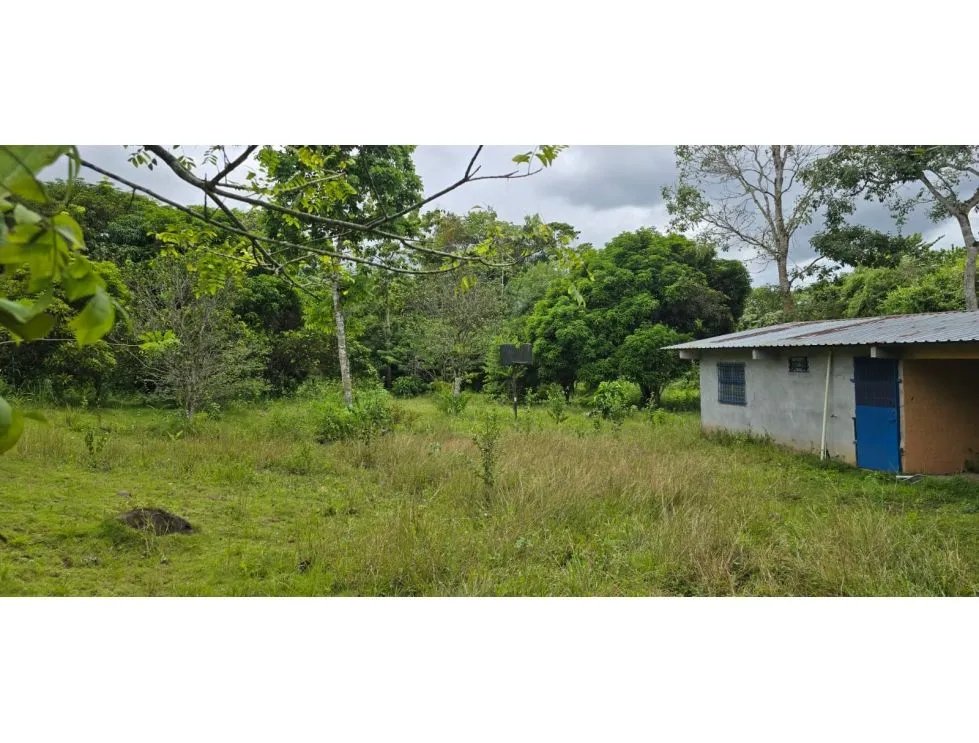 Venta de terrenos en Nuevo Emperador, Arraiján. MY