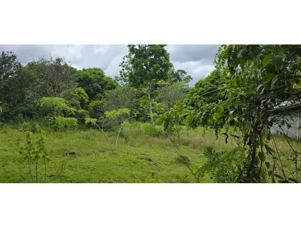 Venta de terrenos en Nuevo Emperador, Arraiján. MY