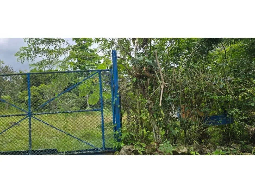 Venta de terrenos en Nuevo Emperador, Arraiján. MY