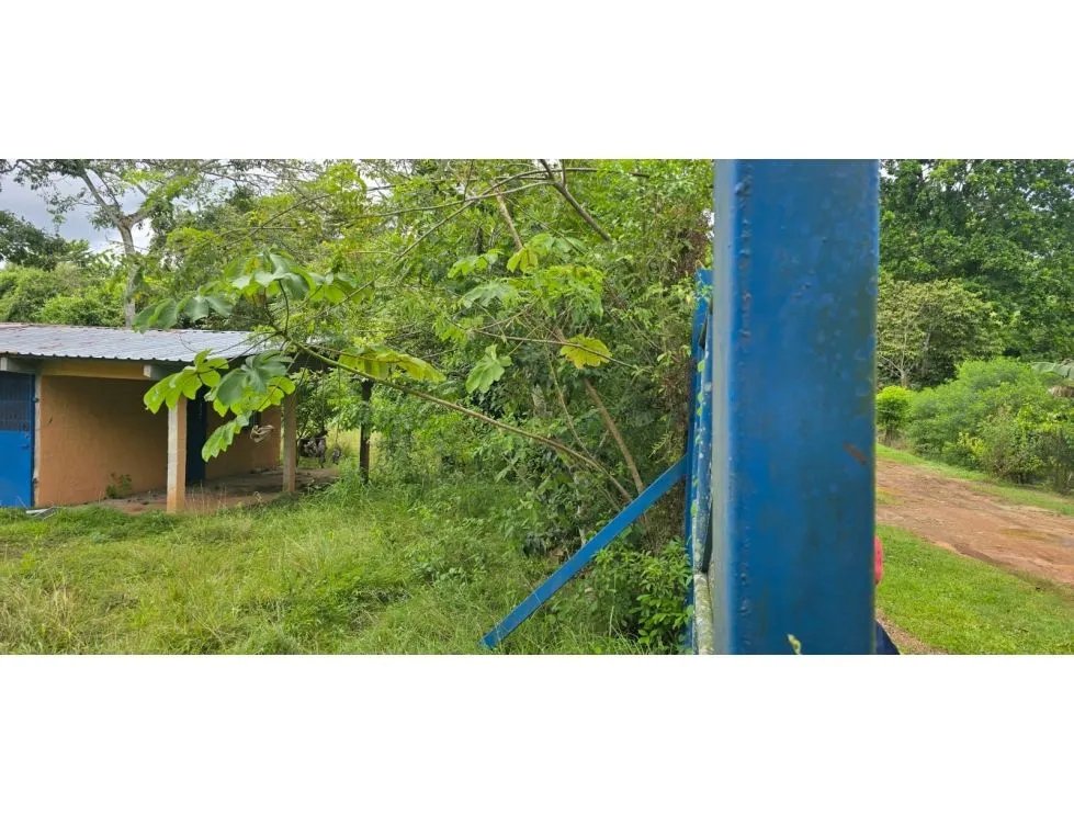 Venta de terrenos en Nuevo Emperador, Arraiján. MY