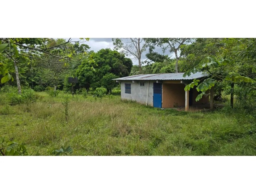 Venta de terrenos en Nuevo Emperador, Arraiján. MY