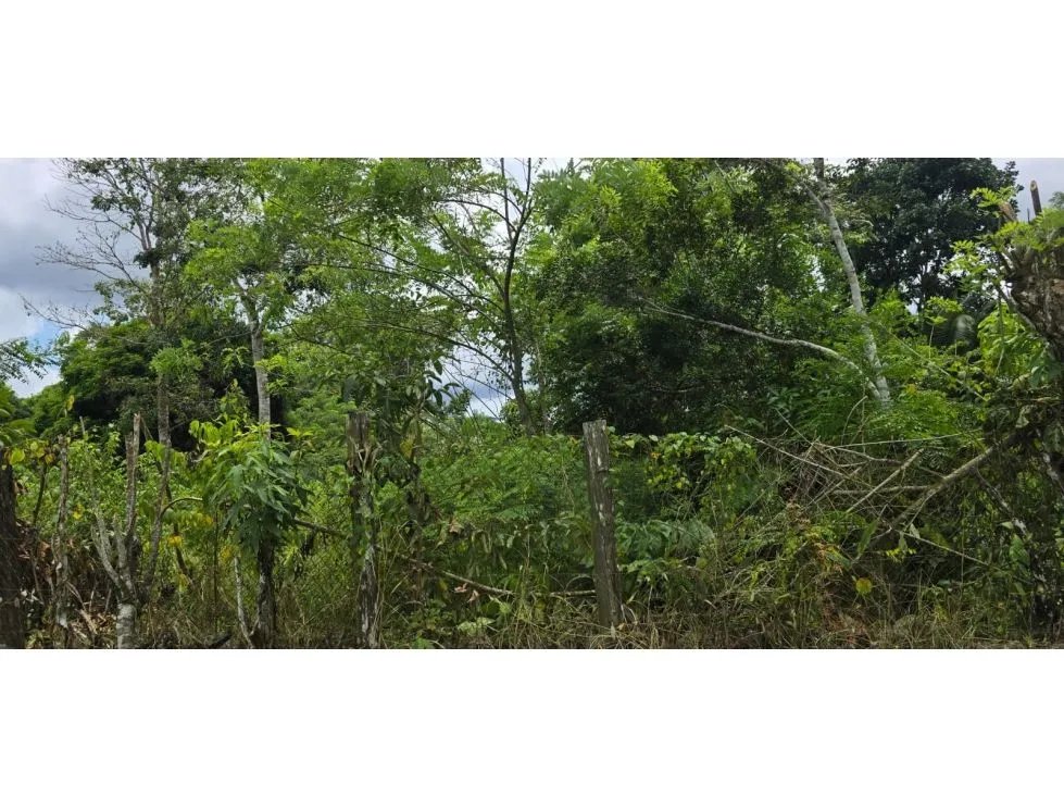 Venta de terrenos en Nuevo Emperador, Arraiján. MY