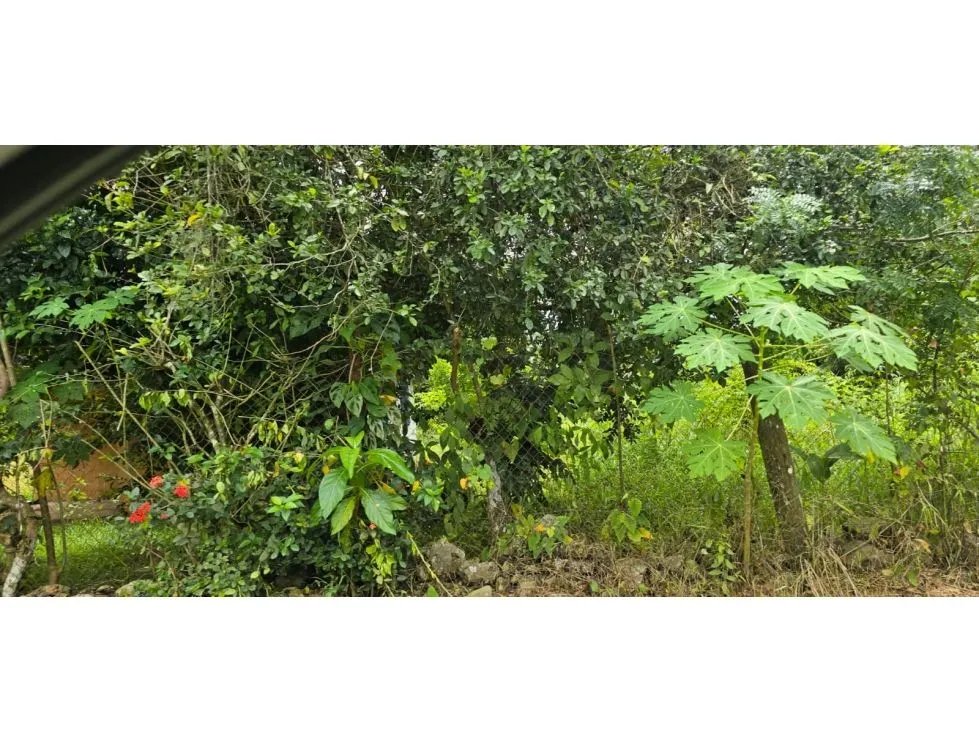 Venta de terrenos en Nuevo Emperador, Arraiján. MY