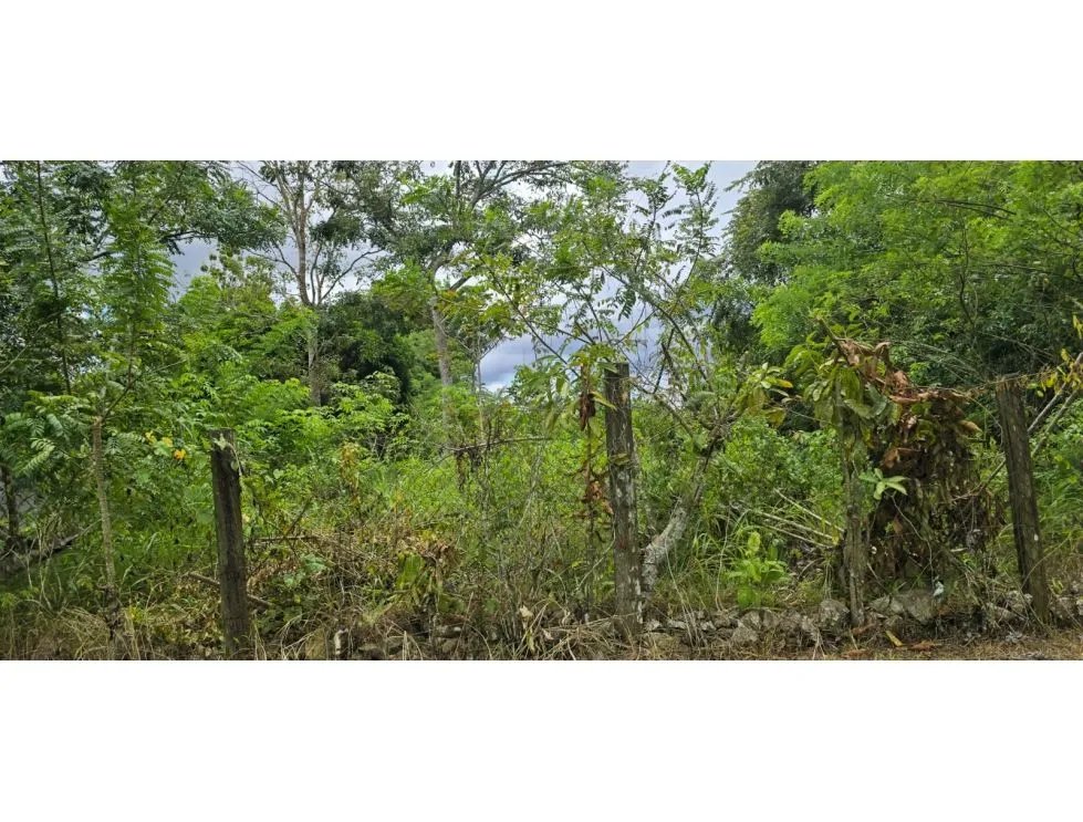 Venta de terrenos en Nuevo Emperador, Arraiján. MY