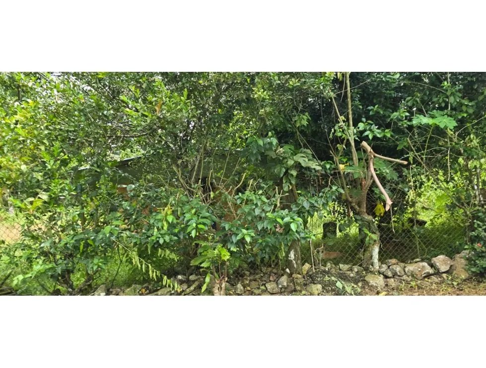 Venta de terrenos en Nuevo Emperador, Arraiján. MY