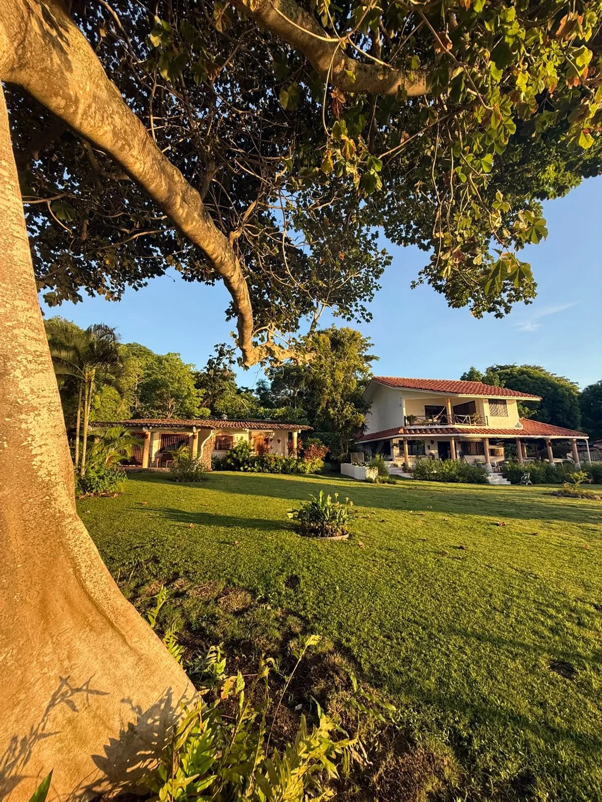 BEACHFRONT HOME FOR RENT IN PLAYA EL PALMAR, SAN CARLOS – CASA PALMAR