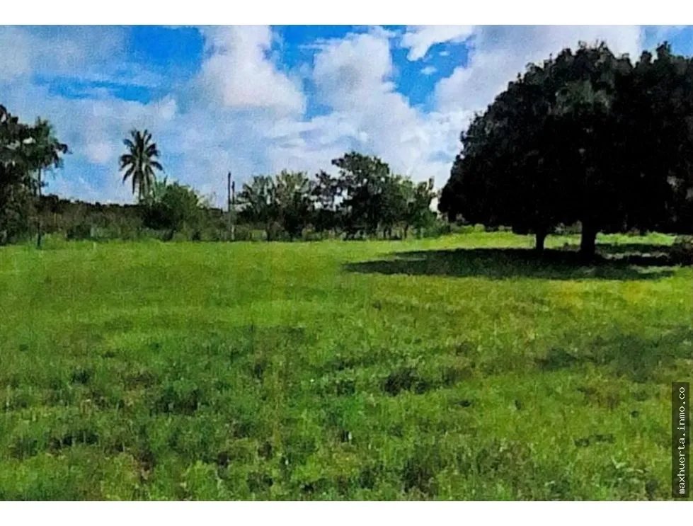 Selling Land in Punta Barco, San Carlos