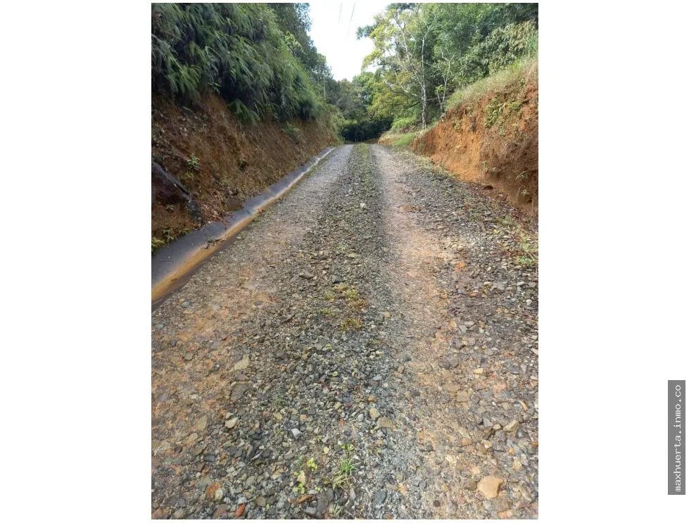LAND FOR SALE IN CERRO AZUL