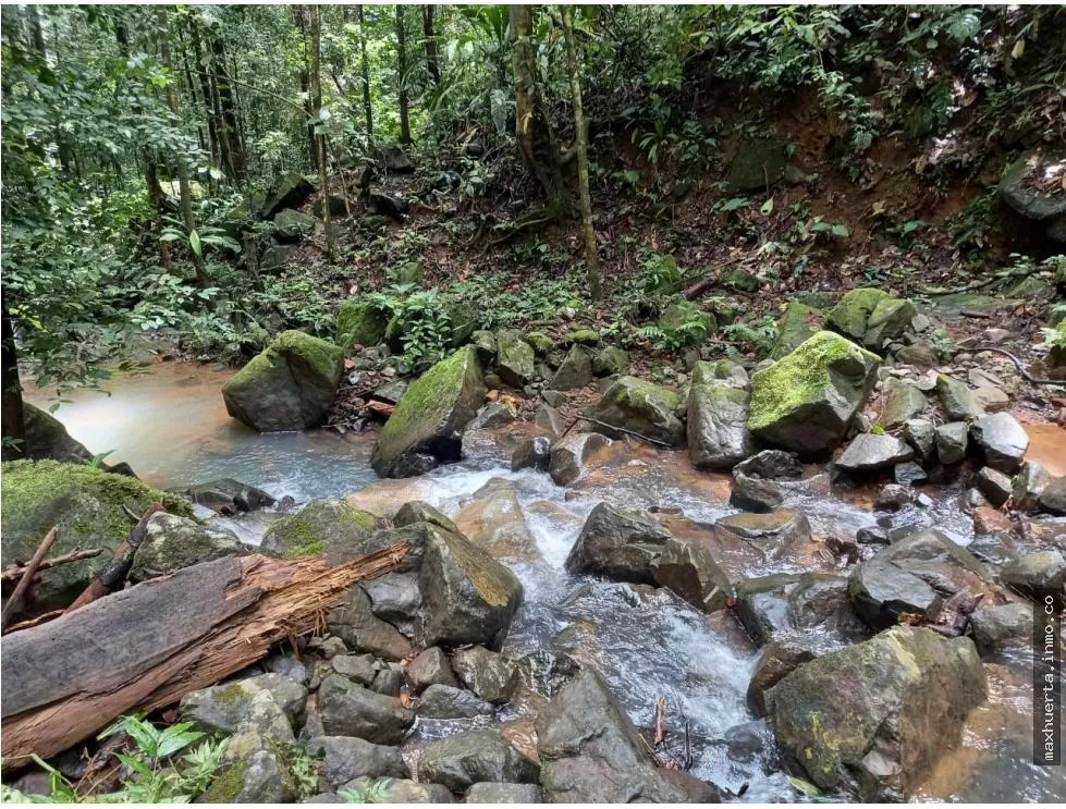 LAND FOR SALE IN CERRO AZUL