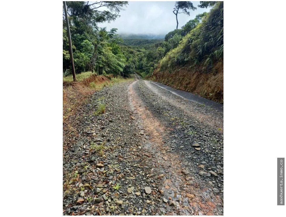 LAND FOR SALE IN CERRO AZUL