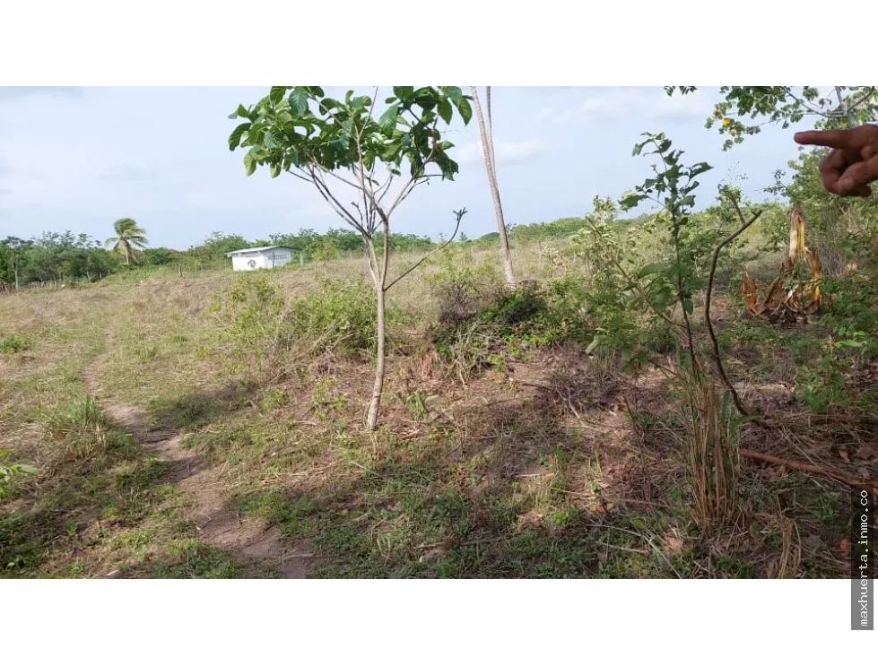 REMATE DE TERRENO EN PENONOME IDEAL PARA BARRIADAS