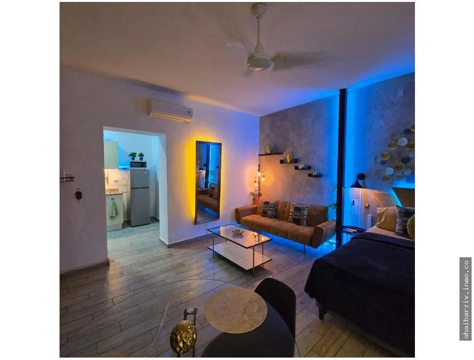 SE VENDE EDIFICIO EN CASCO ANTIGUO, CASA SANTANA