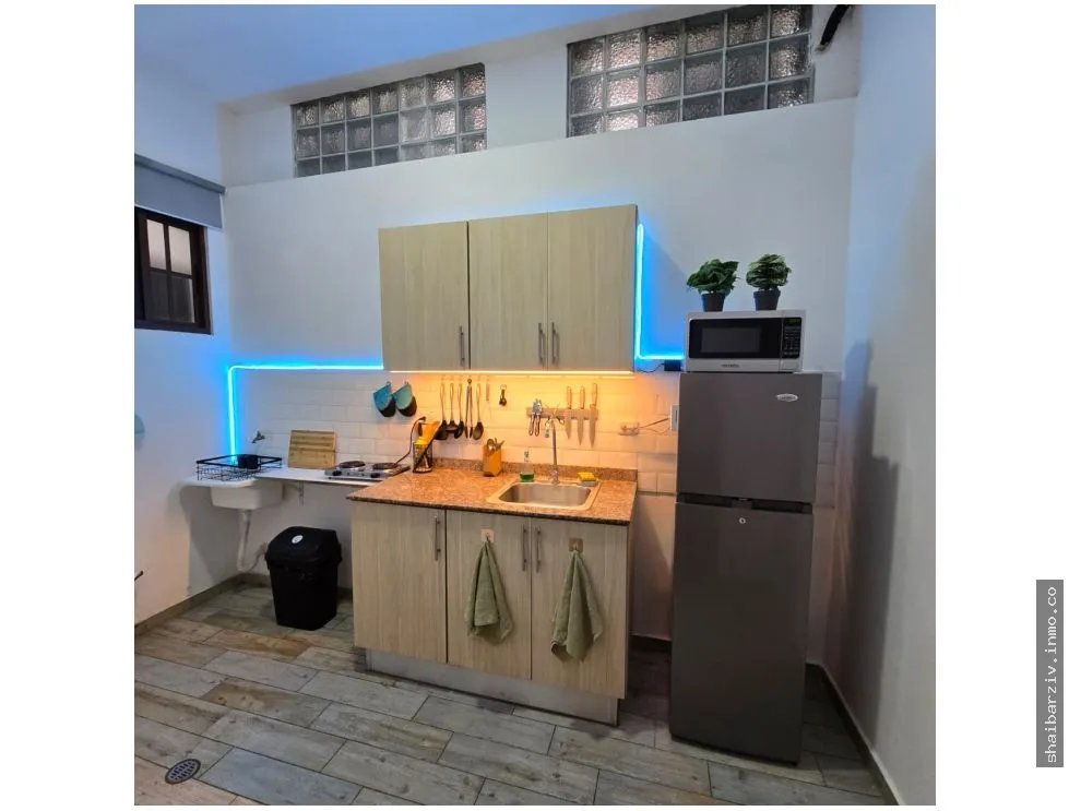 SE VENDE EDIFICIO EN CASCO ANTIGUO, CASA SANTANA