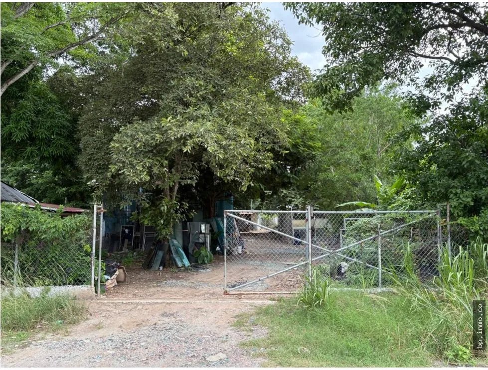 Land for Sale Facing the Panamerican Highway