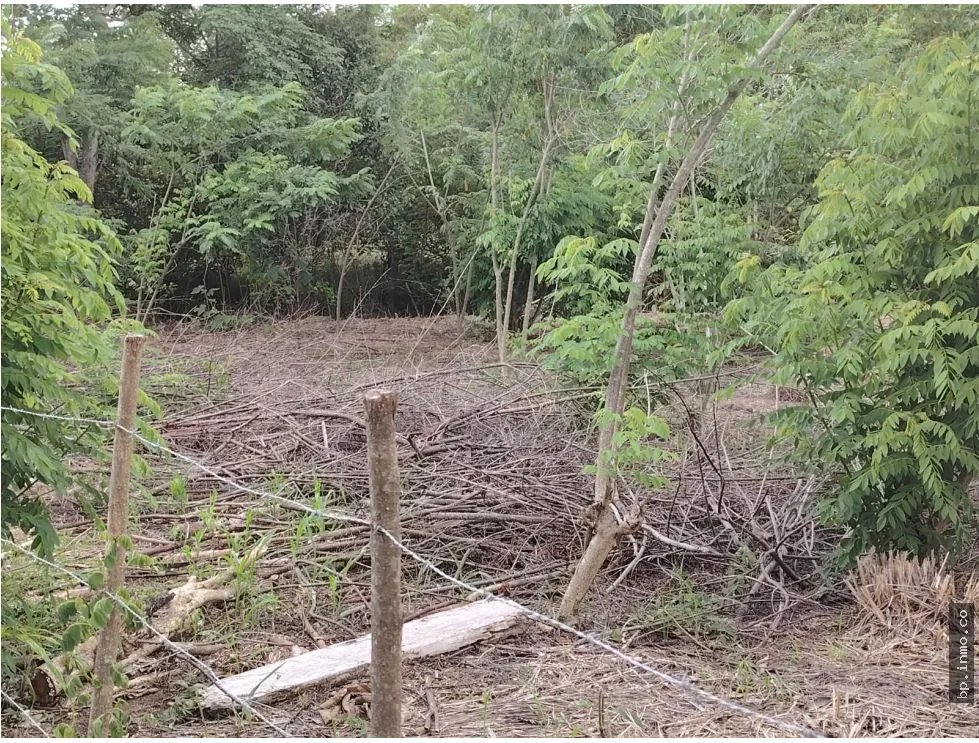Land for Sale in Antón, Coclé