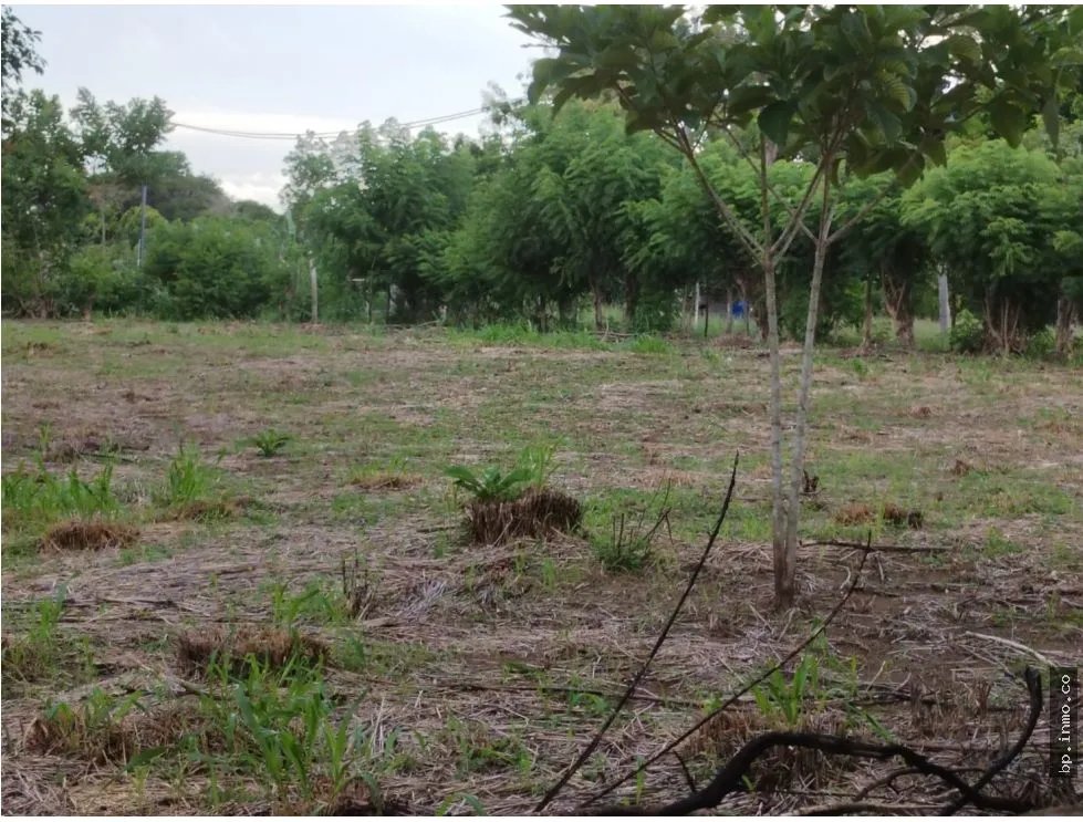 Land for Sale in Antón, Coclé