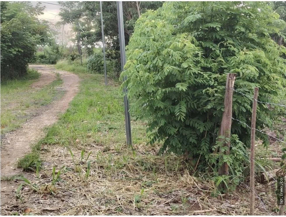 Land for Sale in Antón, Coclé
