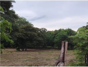 Land for Sale in Antón, Coclé