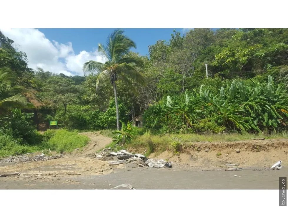 BEACHFRONT LAND WITH OCEAN VIEW IN PLAYA LOS BUZOS, TONOSÍ