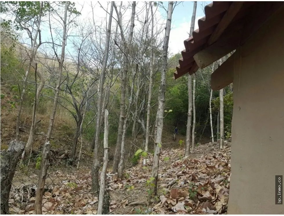 BEACHFRONT LAND WITH OCEAN VIEW IN PLAYA LOS BUZOS, TONOSÍ