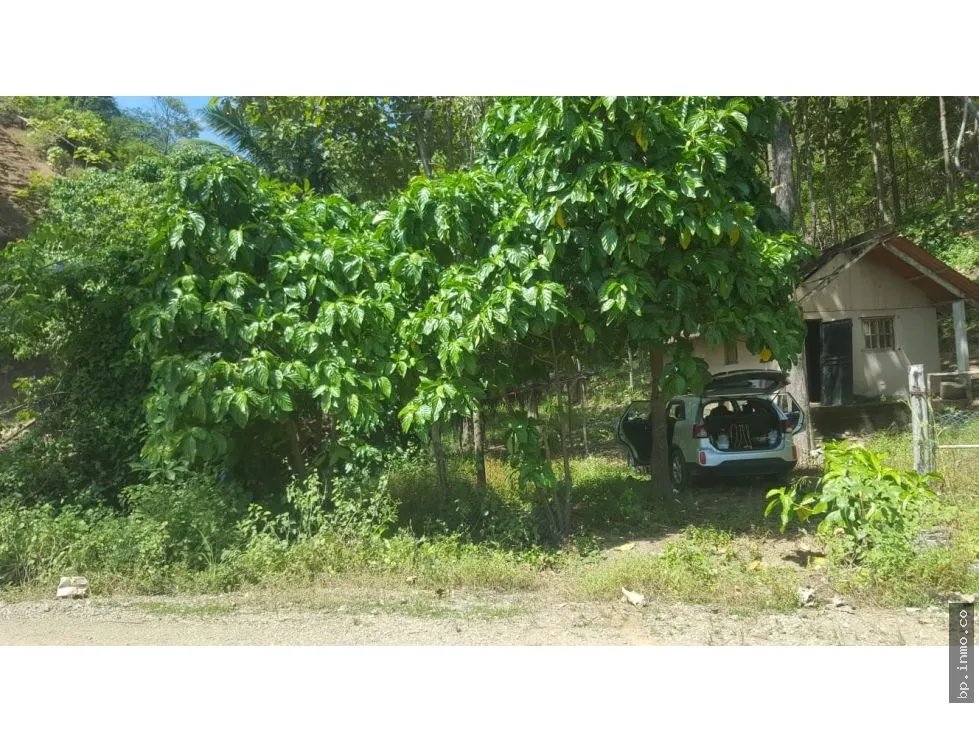 BEACHFRONT LAND WITH OCEAN VIEW IN PLAYA LOS BUZOS, TONOSÍ