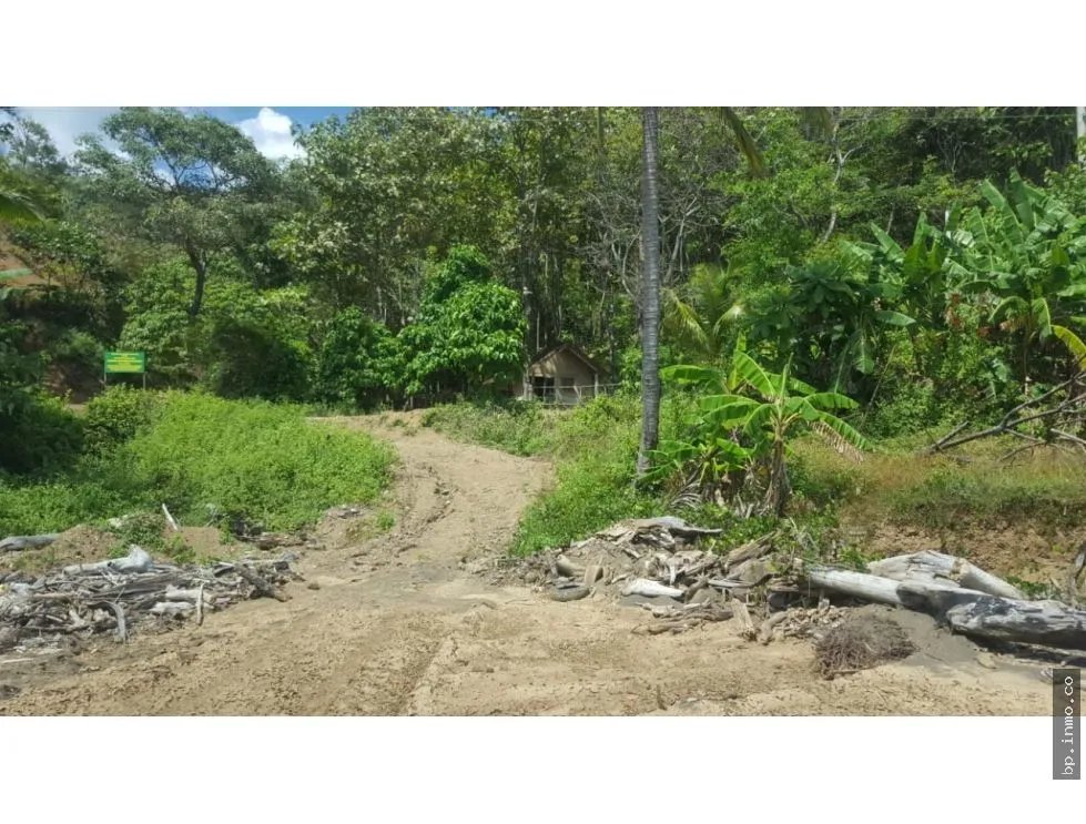 BEACHFRONT LAND WITH OCEAN VIEW IN PLAYA LOS BUZOS, TONOSÍ