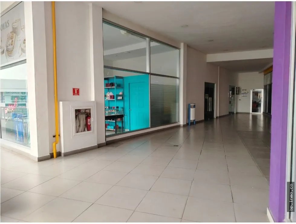 SE ALQUILAN LOCALES EN BRISAS MALL, BRISAS DEL GOLF