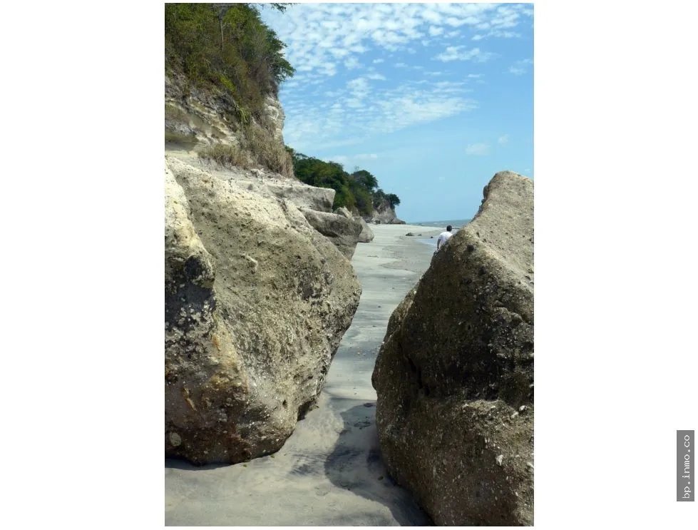 270 HECTARES OF LAND FOR SALE IN SAN CARLOS, PANAMA OESTE