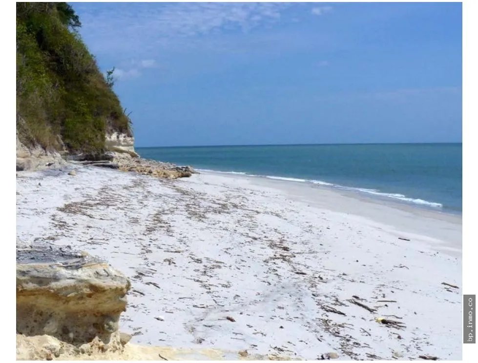 270 HECTARES OF LAND FOR SALE IN SAN CARLOS, PANAMA OESTE