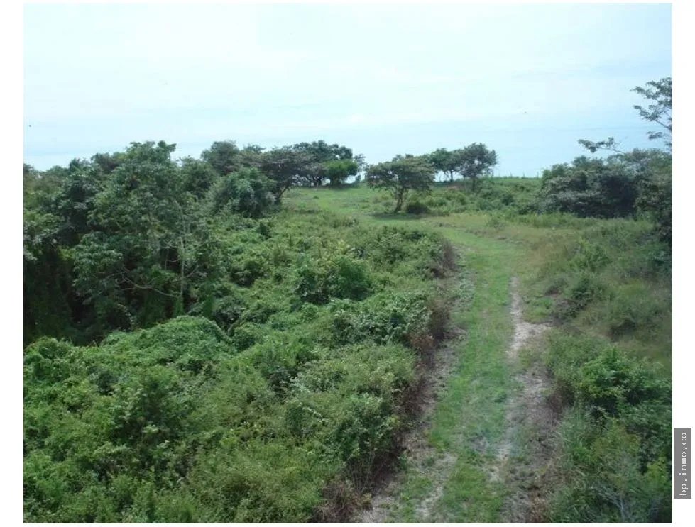 270 HECTARES OF LAND FOR SALE IN SAN CARLOS, PANAMA OESTE