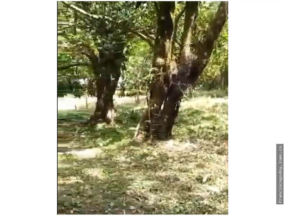 Venta de Terreno en El Valle de Antón