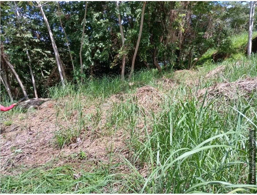 Terreno en Venta en Aires de Chicá, Chame