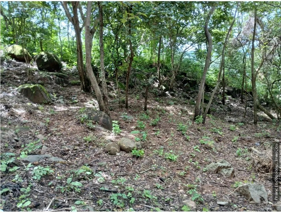 Terreno en Venta en Aires de Chicá, Chame