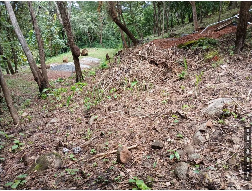 Terreno en Venta en Aires de Chicá, Chame