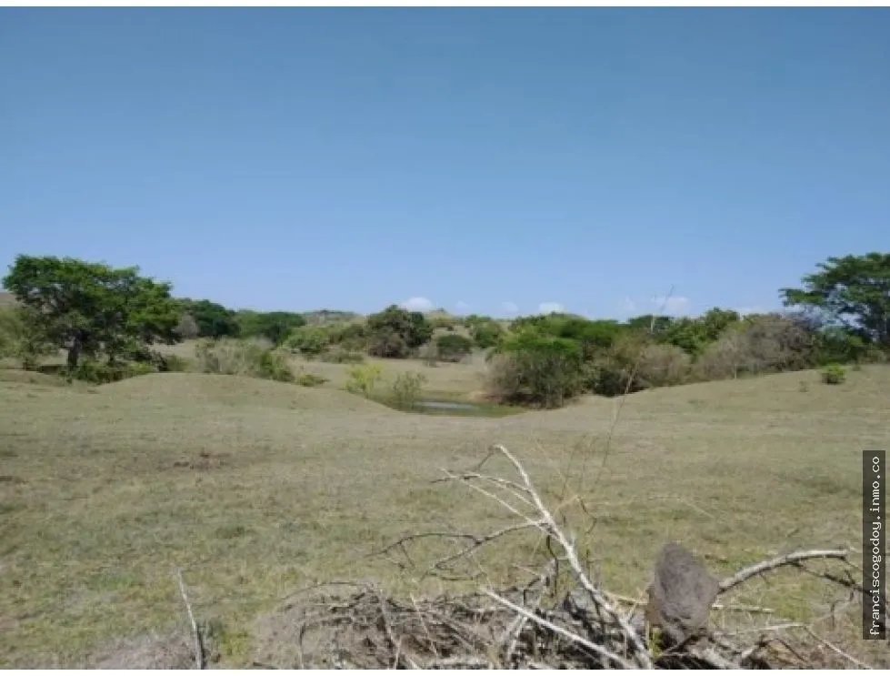 Venta de finca en Pesé, Herrera