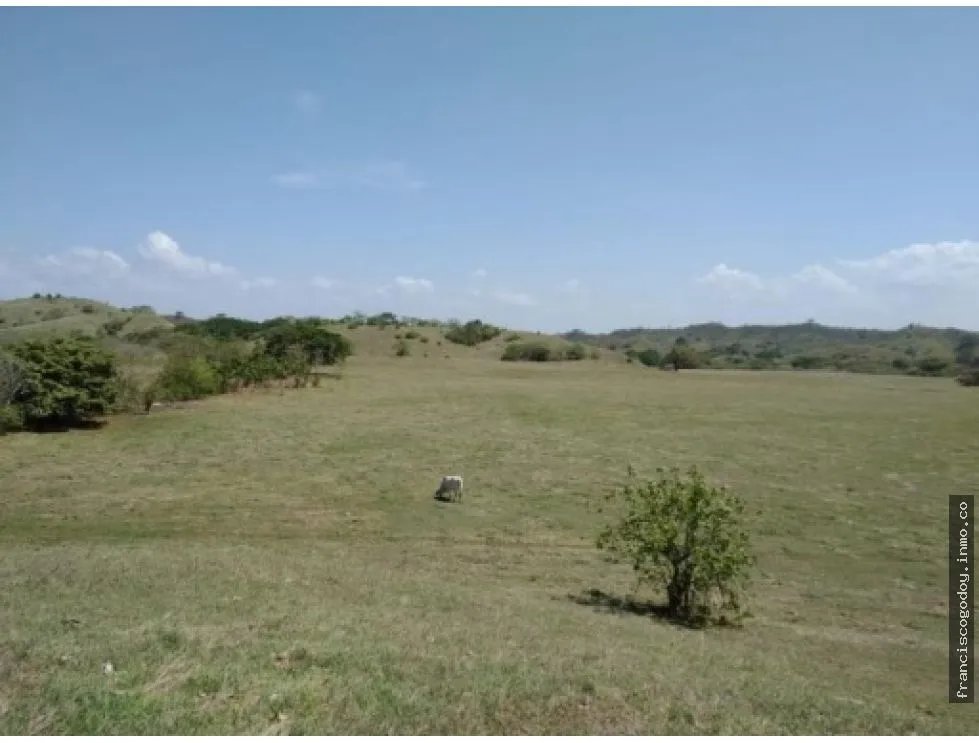 Venta de finca en Pesé, Herrera