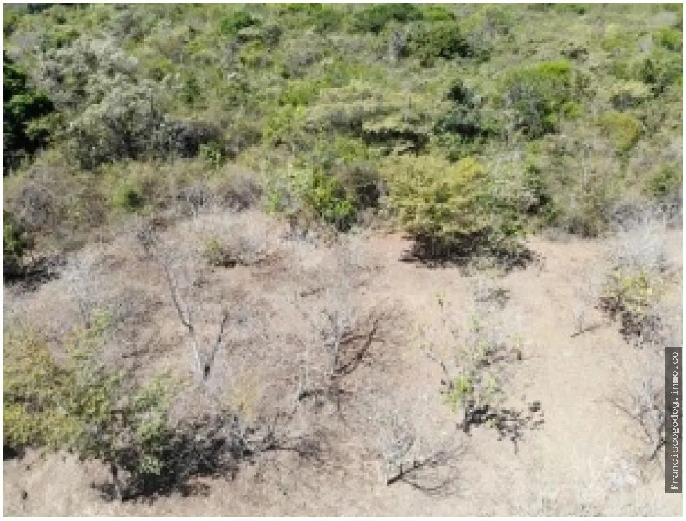 Terreno en venta vía al Valle de Antón, San Carlos