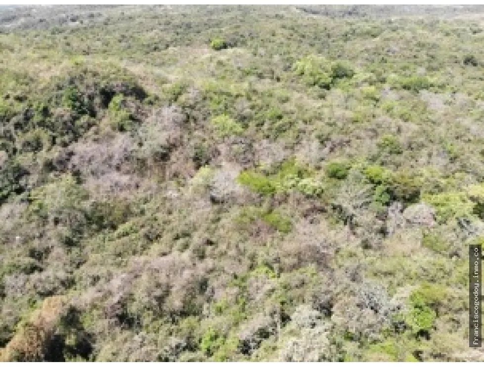 Terreno en venta vía al Valle de Antón, San Carlos