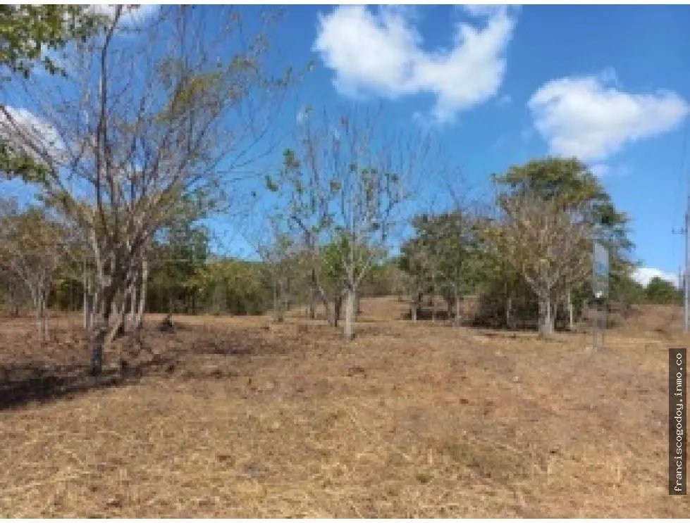 Terreno en venta vía al Valle de Antón, San Carlos