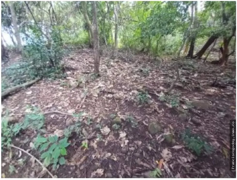Terreno en venta La Pintada, Penonomé