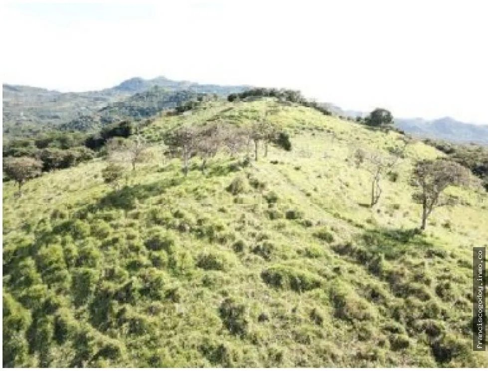 Terreno en venta La Pintada, Penonomé
