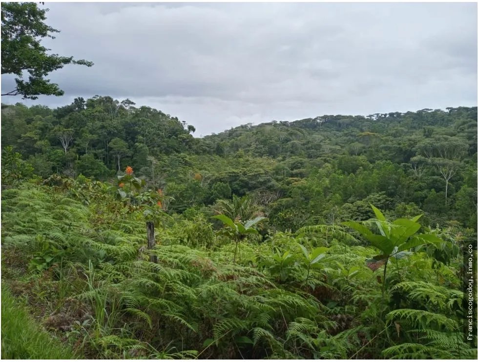 Se Vende Finca en Ciri de Los Sotos Capira Panama